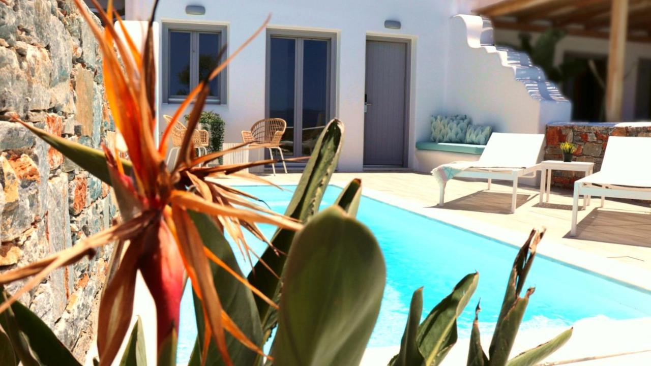 The Nine Graces - Agia Anna - Option With Private Pool Or Hot Tub Villa Buitenkant foto